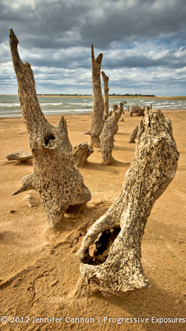 Rising Out of the Sea